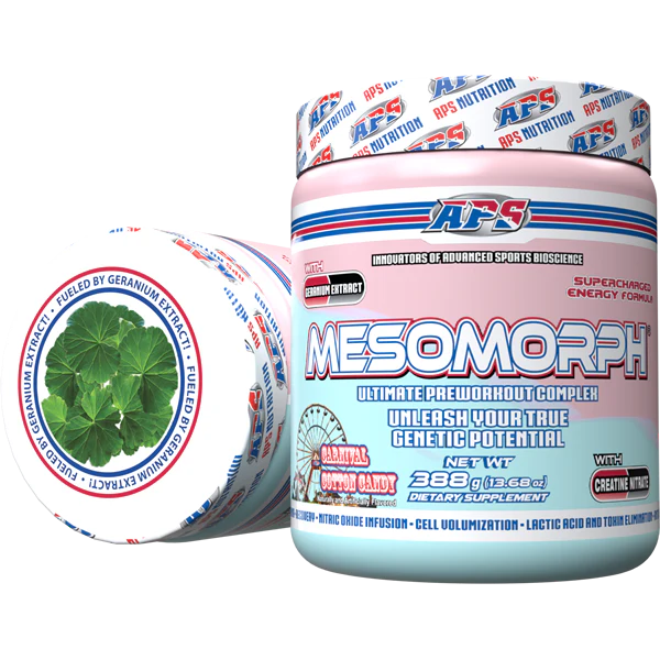 Mesomorph - 25 servicios