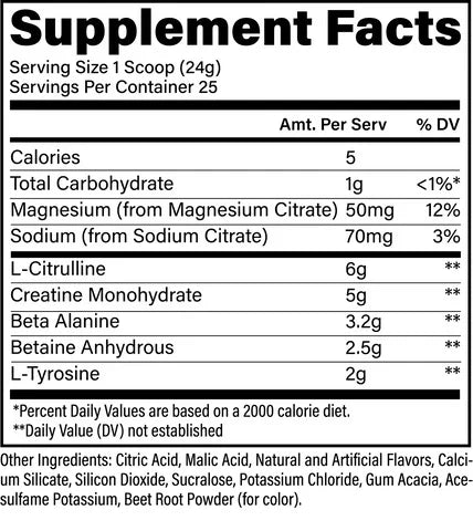 Raw Essentials Performance 25 Serv