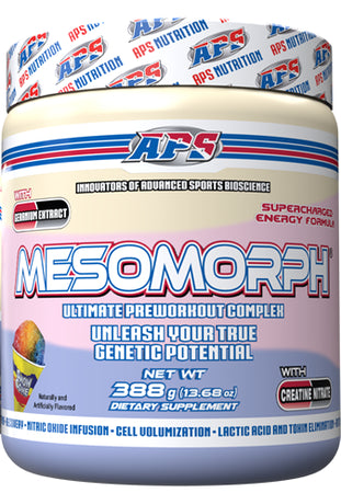 Mesomorph - 25 servicios